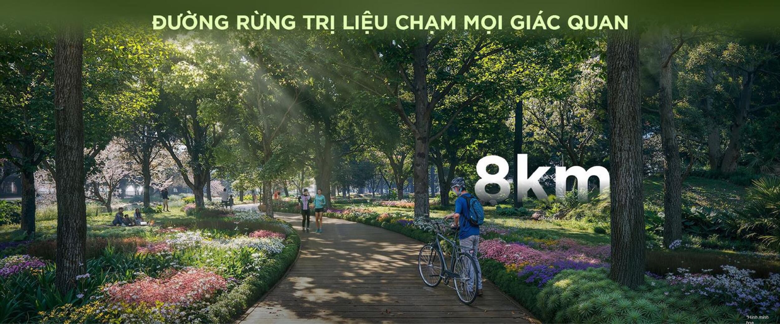 đường rừng trị liệu